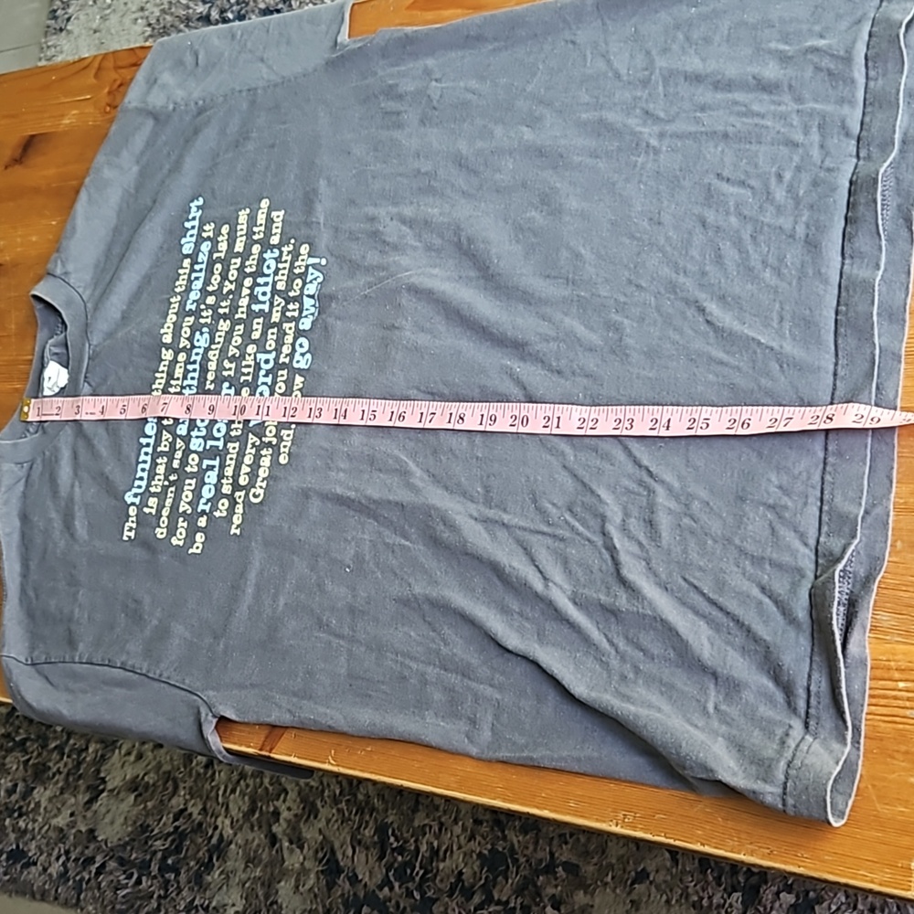 Funny T-Tshirt,EUC, Large Gray - Picture 6 of 7